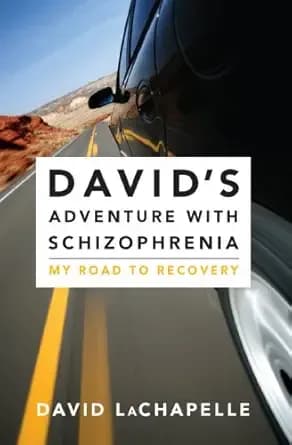 David's Adventure with Schizophrenia: My Road to Recovery (David's Trilogy with Schizophrenia Book 1)