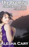 The Promise of Redwood Cove - (Prequel - Redwood Cove Series): Sweet Paranormal Romance - Introducing the Players