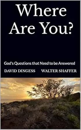 Where Are You?: God's Questions that Need to be Answered