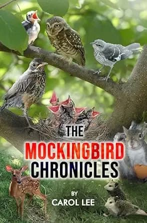 The Mockingbird Chronicles: The Early Days of a Wildlife Rehabilitation Center