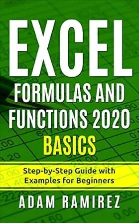Excel Formulas and Functions 2020 Basics: Step-by-Step Guide with Examples for Beginners (Excel Academy Book 2)