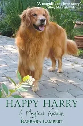 Happy Harry: A Magical Golden (Barbara’s Dog Stories)